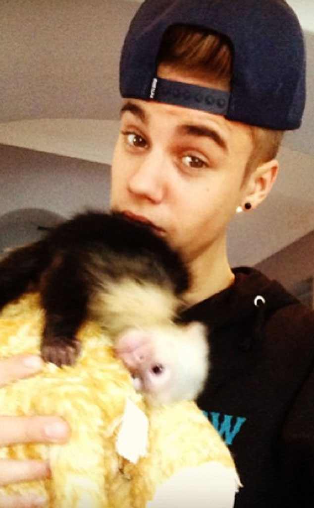 Justin Bieber, Monkey