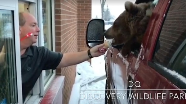 Imagen vía Discovery Wildlife Park/Facebook