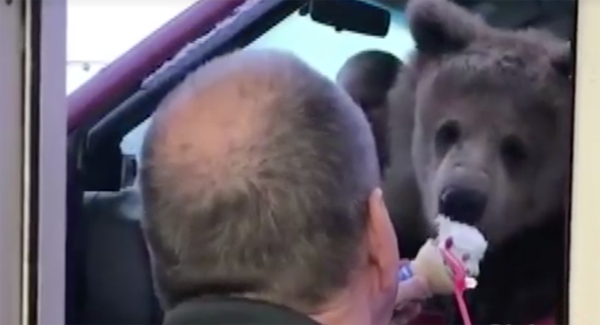 La imagen tomada desde la ventana del autoservicio