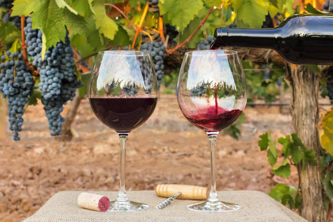 Los vinos españoles sufrirán los efectos del cambio climático. (iStock)