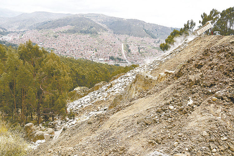Bosquecillo. Residuos, que luego serán retirados. Foto: Pedro laguna