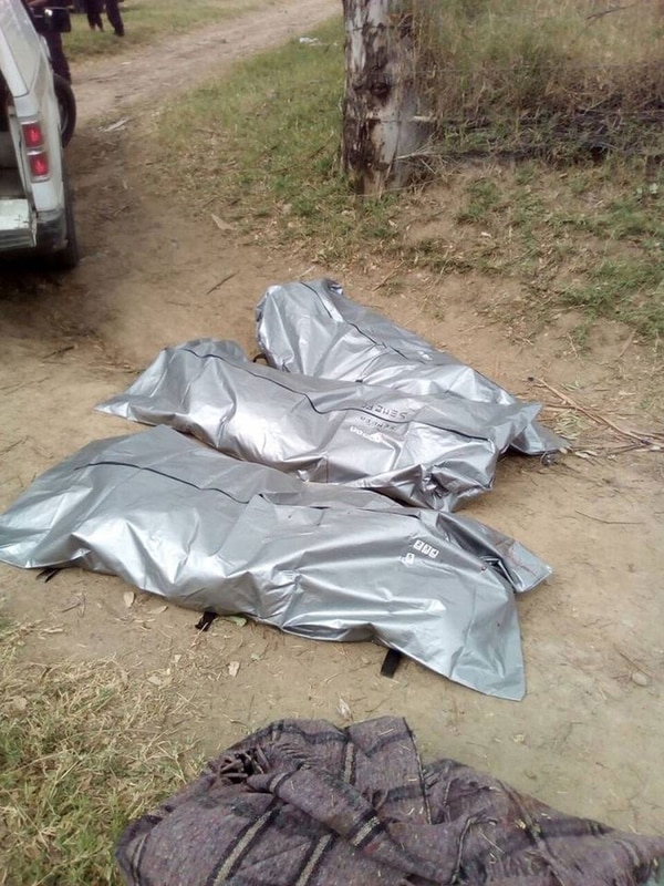 Las víctimas estaban apiladas en un terreno cerca del río y fueron trasladadas para su identificación.