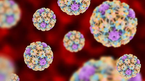 Científicos mexicanos trabajan en el desarrollo de una metodología para la detección oportuna del virus del papiloma humano, informa el Consejo Nacional de Ciencia y Tecnología (Conacyt)
