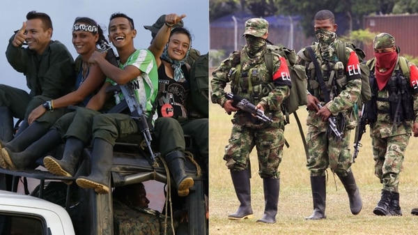 Miembros de las FARC y del ELN
