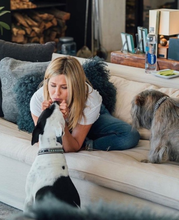 Jennifer Aniston previamente estuvo casada con el actor Brad Pitt.