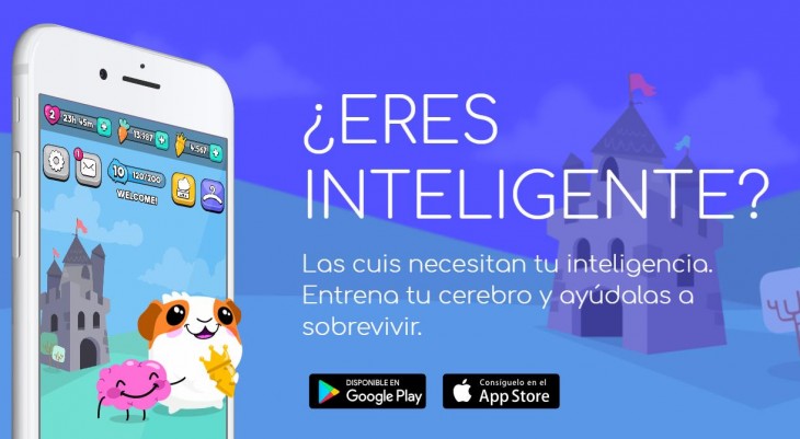 cuibrain