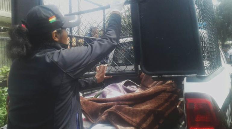 Levantamiento de los cuerpos en el municipio de Tiquipaya. | Edwin Soria