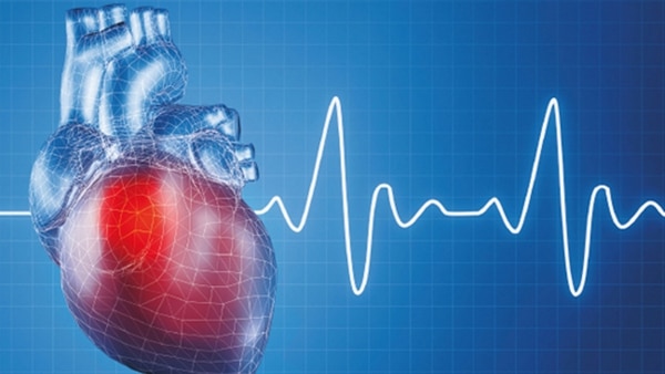 El aparato consiste en una pequeña bomba que se implanta justo debajo del corazón y se conecta al ventrículo izquierdo y a la aorta, arteria principal que lleva la sangre oxigenada a todo el cuerpo