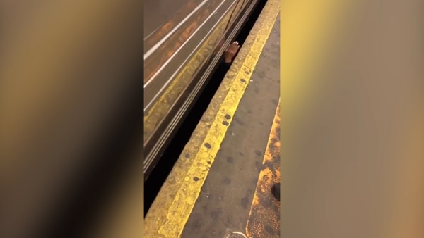 Los pasajeros se desesperaron al ver al hombre asomando la mano