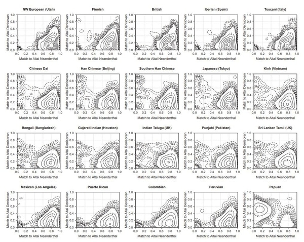 Cuadro que muestra las proporciones de genes en diferentes poblaciones según su influencia neandertal o davisovans (Universidad de Washington)