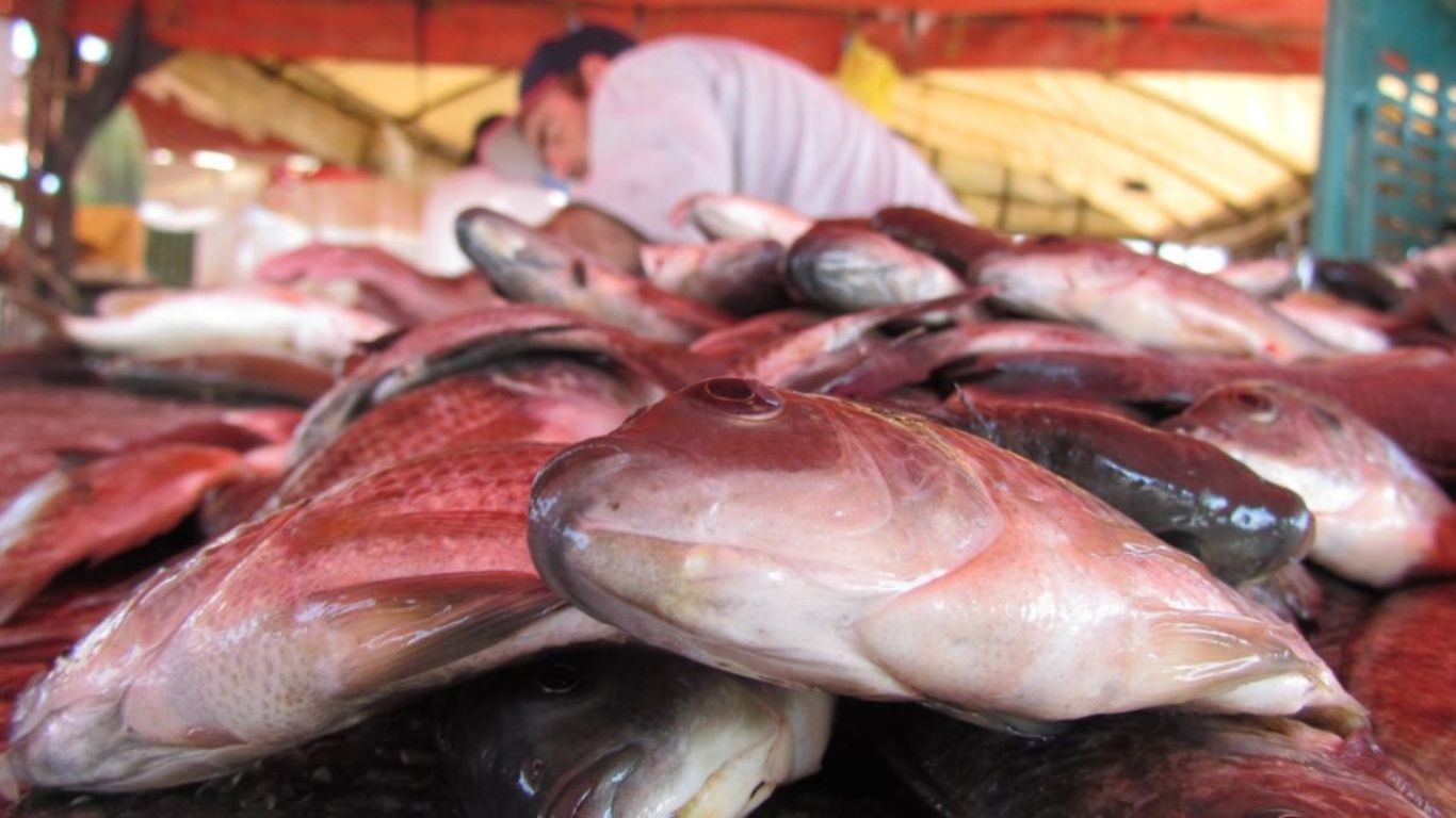 Semana Santa C Mo Reconocer Un Pescado En Buen Estado Eju Tv