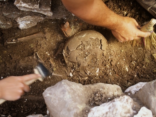 En este estudio, el equipo excavó sedimentos en la costa de la isla Calvert, en la Columbia Británica, donde el nivel del mar era dos o tres metros más bajo de lo que es actualmente