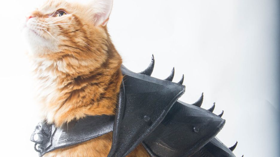 Cat armor