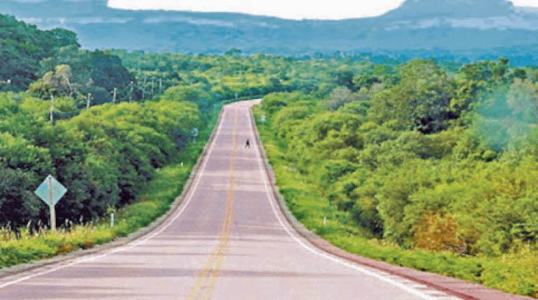 La carretera Roboré-El Carmen que fue adjudicada a la empresa brasileña Camargo-Correa. | eju.tv