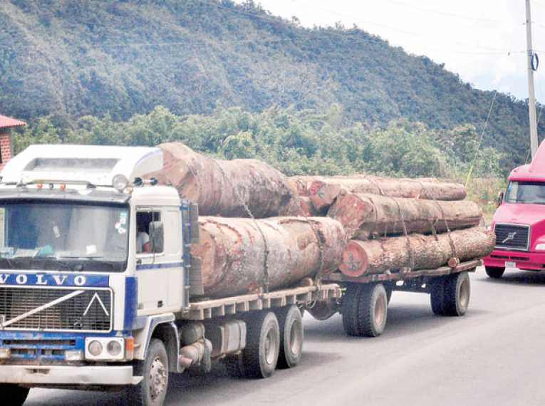 UN CAMIÓN TRANSPORTA TRONCOS DE MADERA EN EL CAMINO AL TRÓPICO DE COCHABAMBA.