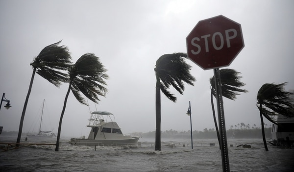 El huracán Irma llegó así a Coconut Grove, en el área de Miami, el 10 de septiembre de 2017. (Carlos Barria/Reuters)