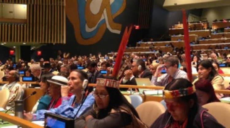 INDIGENAS