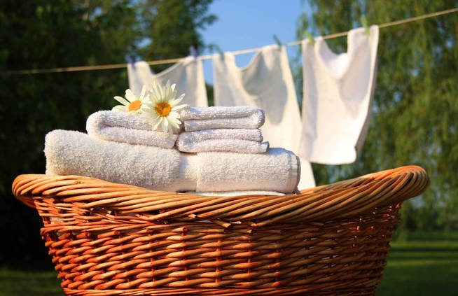 Foto: iStock. 