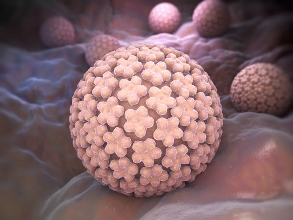 Virus del papiloma humano: de los 16 ejemplares del papilomavirus, sólo 5 infectan a los humanos.