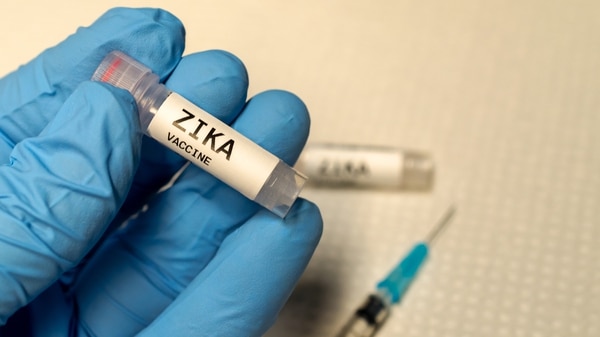 El virus del zika es uno de los ejemplos más recientes de pandemias. (iStock)