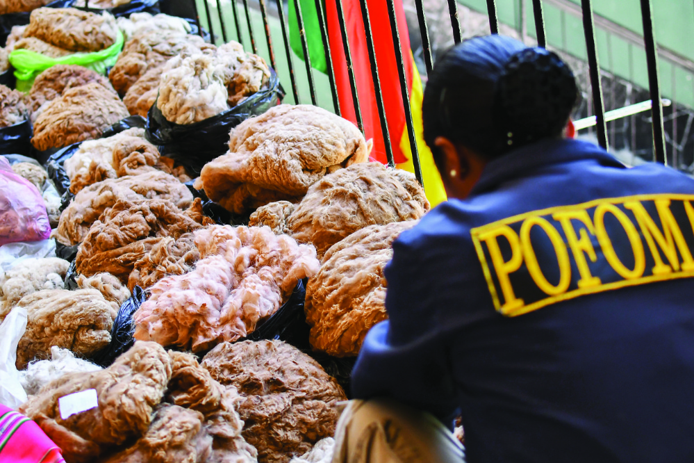 Cinco mercados negros de El Alto trafican con fibra de vicuña