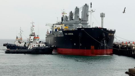 El buque Kiwi Arrow que arribó este jueves a Ilo con 17.000 toneladas de carga boliviana.