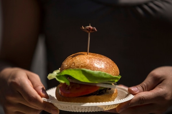 Hamburguesa de chapulines. Foto de Mauricio Castillo