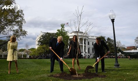 El momento en que Trump y Macron plantaron el roble en la Casa Blanca. (Foto: AFP)