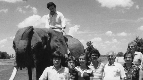 Pablo Escobar en uno de los elefantes que compró para su zoo privado