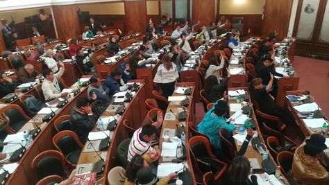 Diputados durante la aprobación en grande y detalle del Proyecto de Ley que Modifica la Ley de Migración. Foto: @Diputados_Bol