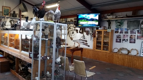 El pequeño museo de Bjarnarhöfn, una factoria que se dedica hace cuatro siglos a la pesca y el procesamiento del tiburón.