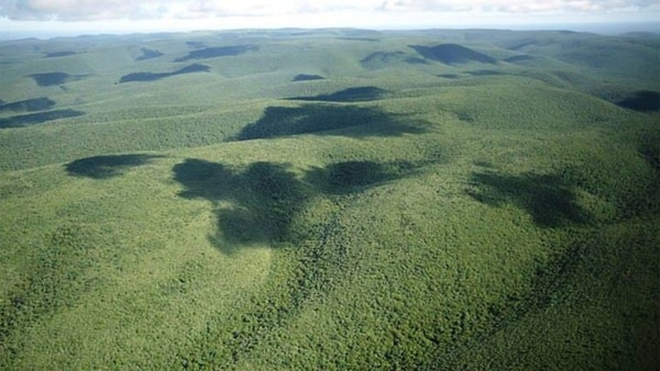 El Parque Nacional Defensores del Chaco en Paraguay