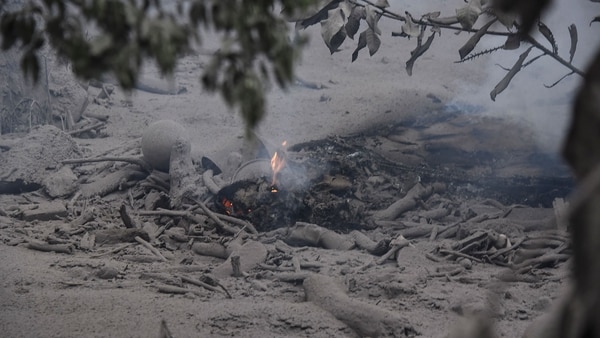 Nuevos cuerpos se hallaron entre los escombros de la comunidad de San Miguel Los Lotes, en el departamento sureño de Escuintla, que quedó soterrada bajo miles de toneladas de material volcánico