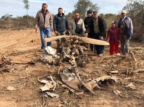 Sapienza rodeado de los dueños de la propiedad posan frente al avión derribado de Pabón.