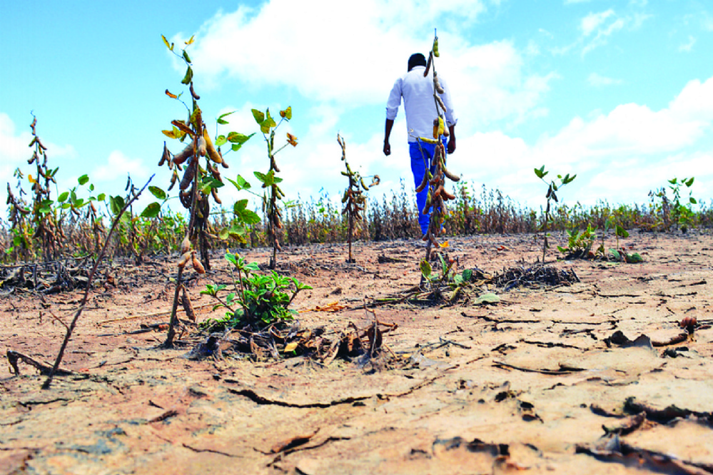Al menos 4 agroquímicos prohibidos en el mundo aún se venden en Bolivia