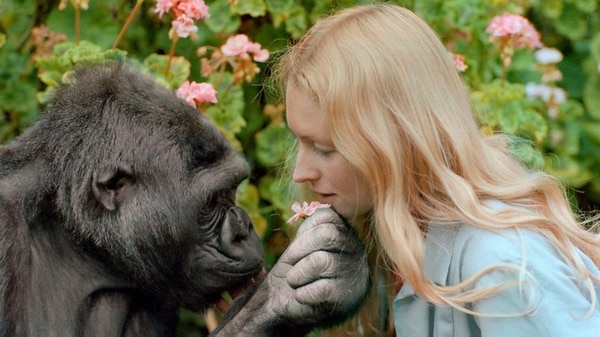 Patterson desarrolló una relación muy especial con el animal