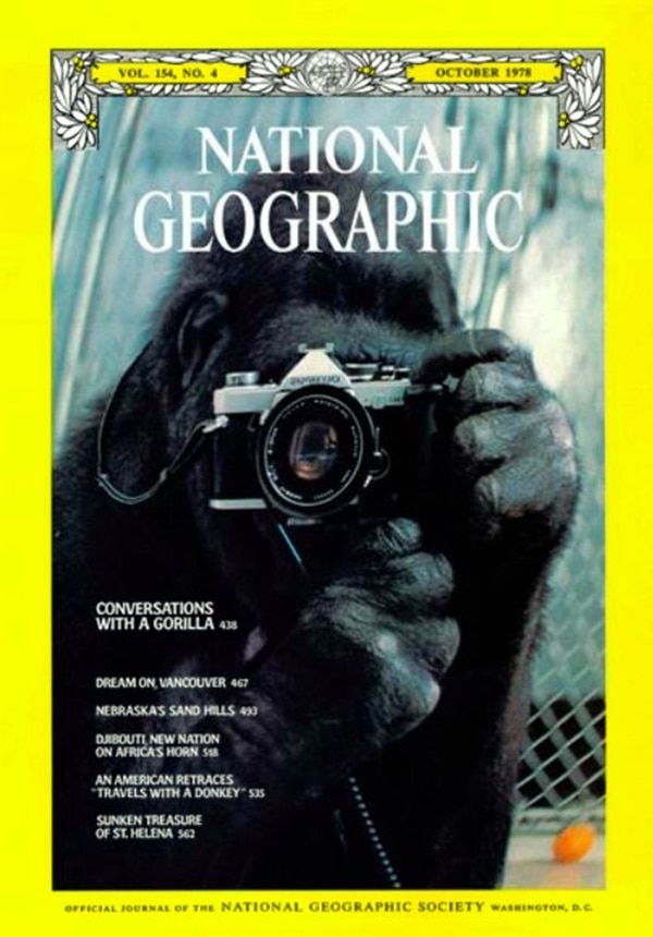 La portada de National Geographic con Koko