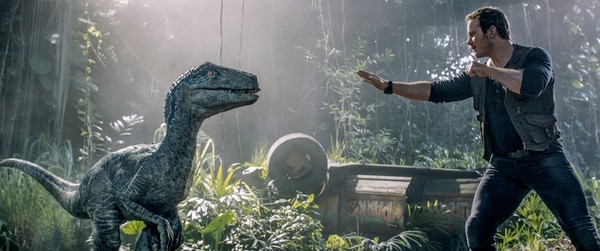 Chris Pratt vuelve a conectarse con su viejo amigo, el velociraptor Blue. (Universal Studios)