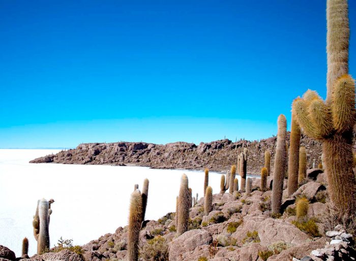 QUIBORAX EXPLOTABA RUDIMENTARIAMENTE ULEXITA EN SALAR DE UYUNI.