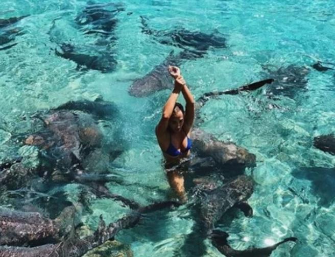 El suegro de Katarina Zarutskie sacÃ³ fotos del ataque del tiburÃ³n
