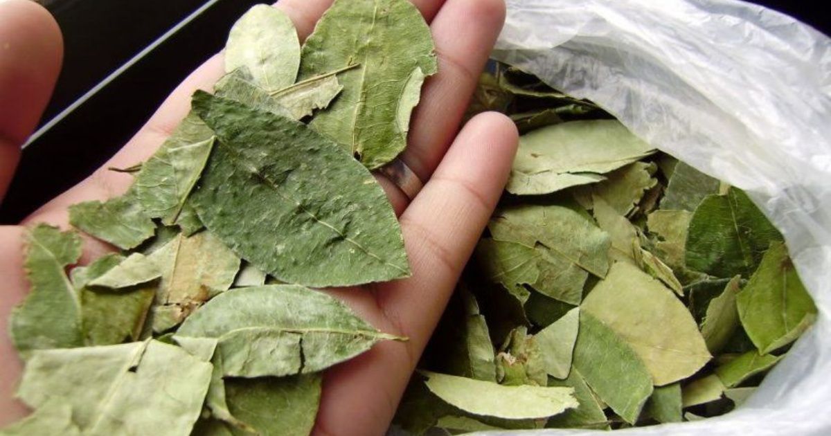 Coca machucada a domicilio, nuevo servicio en Santa Cruz eju.tv