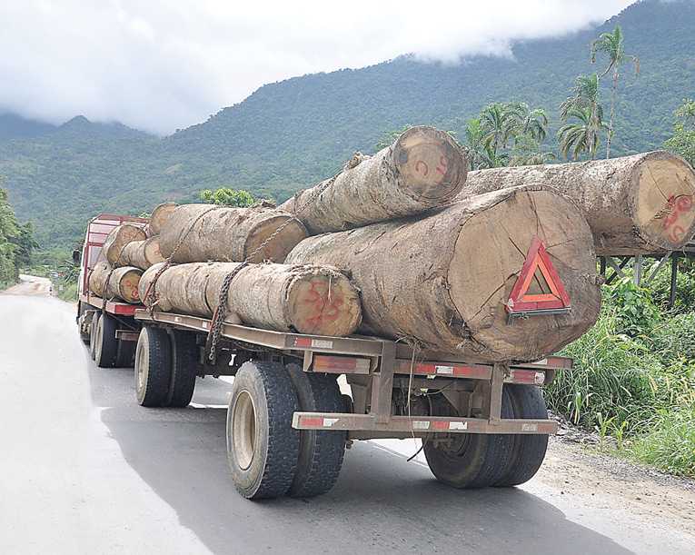 UN CAMIÓN TRANSPORTA MADERA EN LA CARRETERA HACIA SANTA CRUZ. OPINION