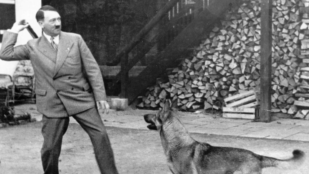 Foto: No hay nada como un animal para blanquear a un asesino sanguinario. (Cordon Press)