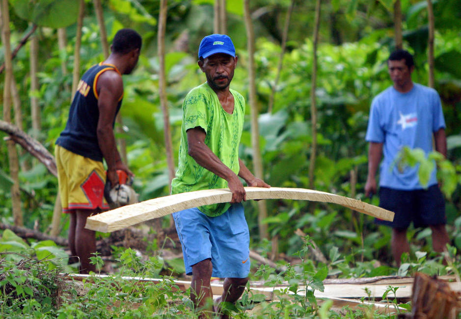 Trabajadores recogen madera de teca en el bosque de Sentani, en la provincia de Papúa. (Reuters) 