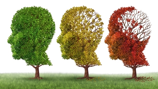 El Alzheimer es la primera causa de demencia en el mundo. (Shutterstock)