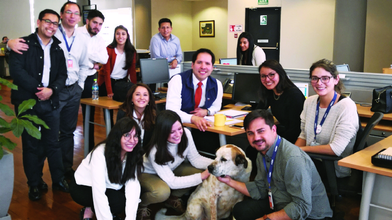 San Roque: los perros ya pueden entrar a un banco con sus dueños