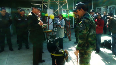 Doris, la perra detectora de drogas y divisas saluda a su instructor tras recibir la distinción.