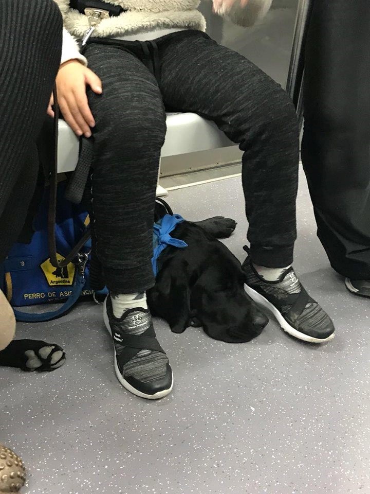 Lola viajando en subte con su perro (Facebook)