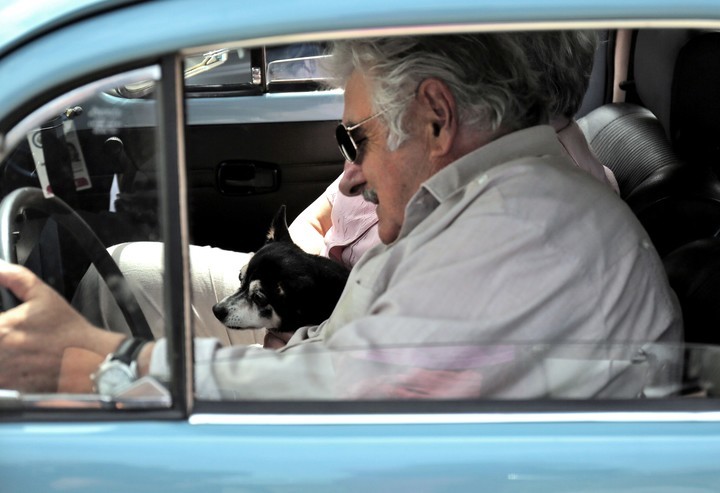Mujica y su perra Manuela iban juntos siempre que podían. / AFP