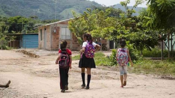 El 92% de los niños de entre seis y nueve años que viven en las zonas de presencia de campos de coca ya están trabajando en ellos, por lo que tienen un rezago escolar del 35,5%.